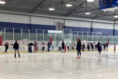 On-ice-panoramic